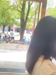 -YESIDO椰岛造型