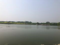 -东郊湿地公园