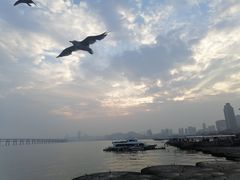 -星海广场
