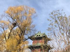 -迎泽公园