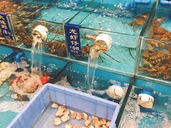 -汇景海鲜店