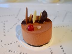 -BLACKSWAN黑天鹅(环球店)