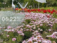 -八角街道·八角南路社区