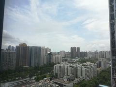 -老周记顺德双皮奶