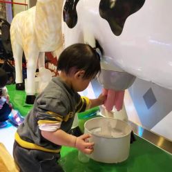-哈尼鹿儿童乐园(长沙梅溪湖步步高店)