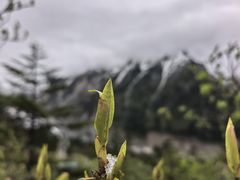 -海螺沟风景区