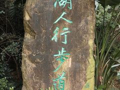 -深圳仙湖植物园