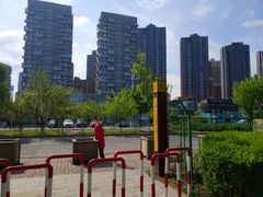 -长白岛森林公园