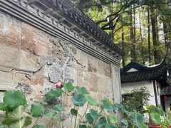 -上海醉白池公园