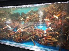 -盒马鲜生(曜一城店)