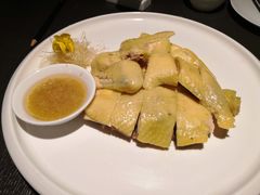 白切鸡-粤凤佬
