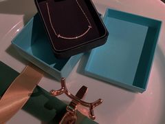 -Tiffany & Co.蒂芙尼
(杭州万象城店)