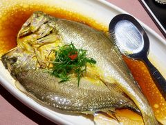 鸡汁蒸黄鱼-江南赋(内蒙古大厦店)