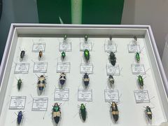 -烟台市博物馆