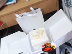 -BLACKSWAN黑天鹅(环球店)