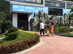 -泉州海丝野生动物世界