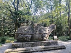 -灵谷景区