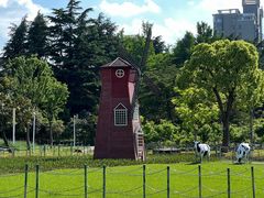 -大宁公园