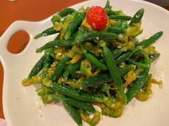 乳瓜苗-赵小姐丨新中餐(曲江店)