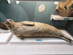 -国家自然博物馆