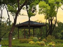 -后襄河公园