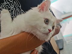 -安安宠医·臻爱宠物医院·宠保定点(营门口路分院)