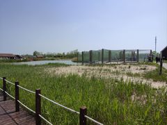 -盐城丹顶鹤湿地生态旅游区