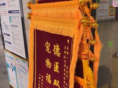 -瑞派天使宠物医院·神经外科·骨科·核磁(洛川中路店)
