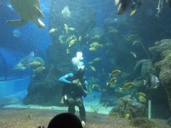 -左海海底世界