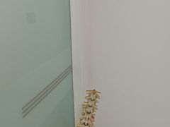 -上海仁爱医院