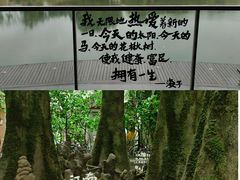 -中国湿地博物馆