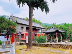 -泰山风景名胜区-普照寺