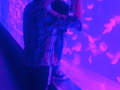 -皇家极地海洋世界-售票处