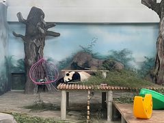 -苏州太湖国家湿地公园