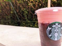 落樱飘雪冷萃-星巴克臻选(广州沙面店)