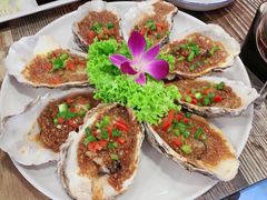 -鱼乐乐(Happy Fish)