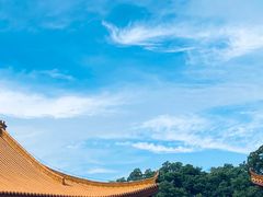 -深圳仙湖植物园