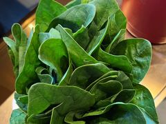 -南门四季铜锅涮肉(大屯·北苑店)