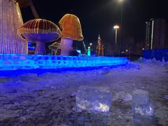 -哈尔滨热雪奇迹