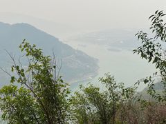 -铁山坪森林公园