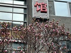 -潍坊菜馆(三里河南横街店)