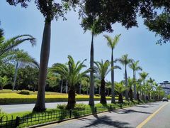 -黄金海岸环岛路