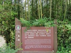 -日照海滨国家森林公园
