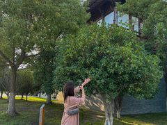 -东台西溪天仙缘景区
