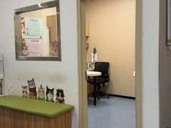 -瑞鹏宠物医院·爱宠堂·骨外专科(西荷分院)