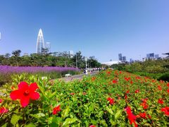 -人民公园(罗湖区)