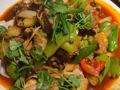 沙湾大盘鸡-Alali阿拉礼·新疆家宴(西溪新座店)