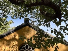 -西园戒幢律寺