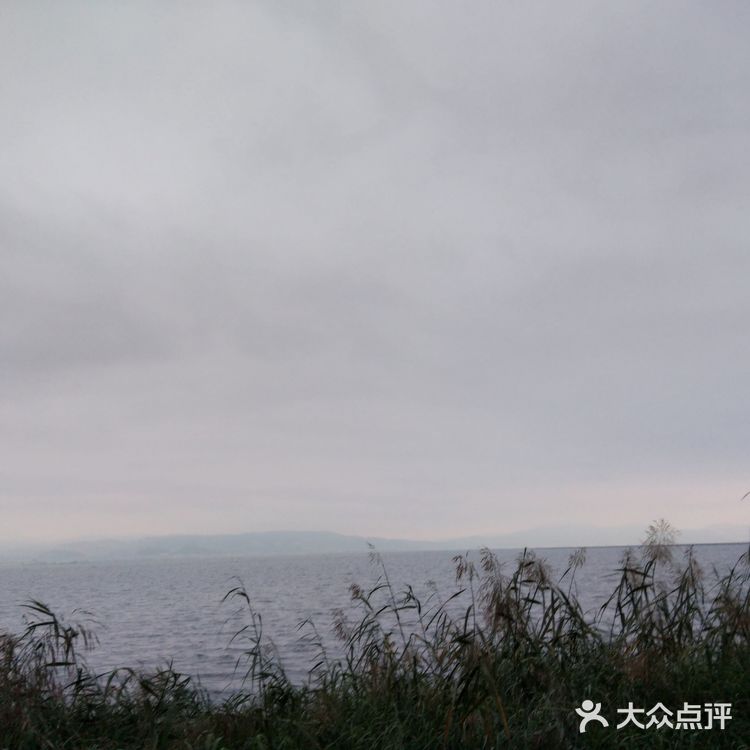 好吃到爆的🐠