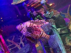 -沈阳海洋探索中心